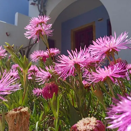 Nefeli Leros