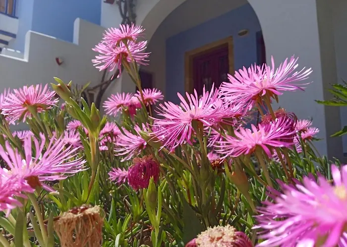 Nefeli Leros